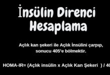 İnsülin Direnci Hesaplama insülin direnci hesaplama