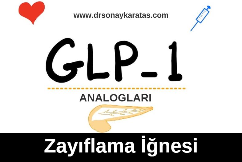 glp 1 caramels GLP-1Care Chocolate Salted Caramel Pudding Shake